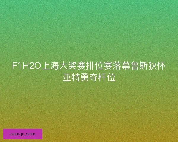 F1H2O上海大奖赛排位赛落幕鲁斯狄怀亚特勇夺杆位 F1H2O上海大奖赛排位赛落幕鲁斯狄怀亚特勇夺杆位