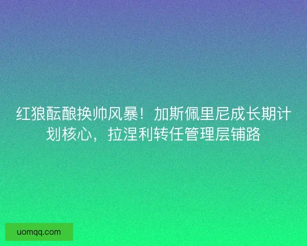 红狼酝酿换帅风暴！加斯佩里尼成长期计划核心，拉涅利转任管理层铺路